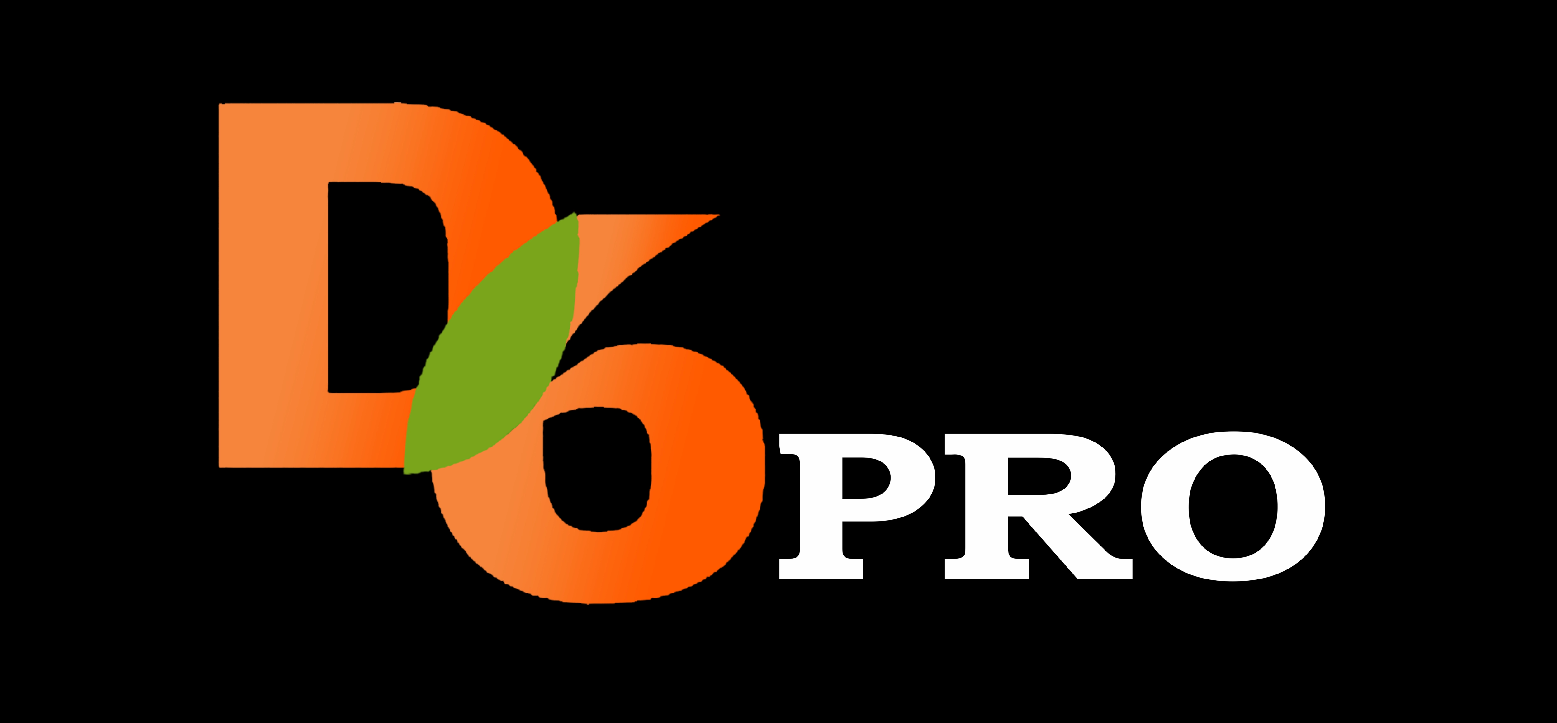 D6 Pro